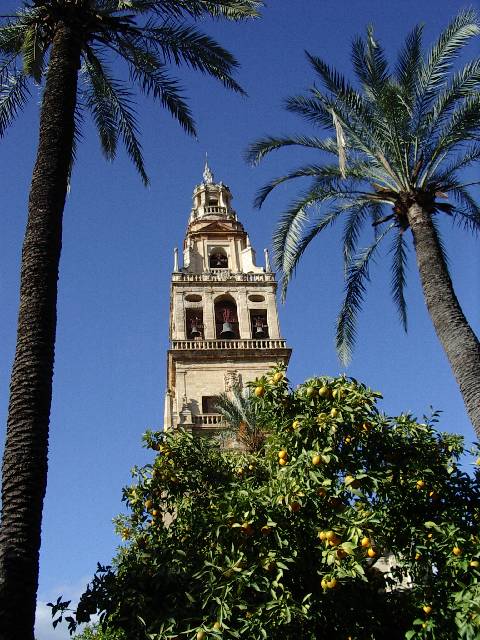 Cordoue : La Mesquita