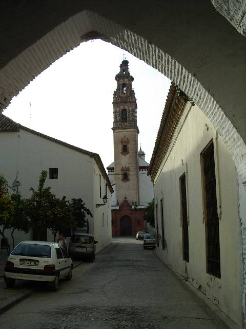 Palma del Rio